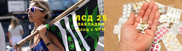тгк Алзамай