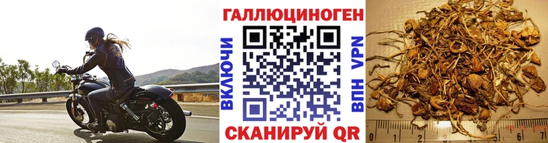 Псилоцибиновые грибы GOLDEN TEACHER Ейск