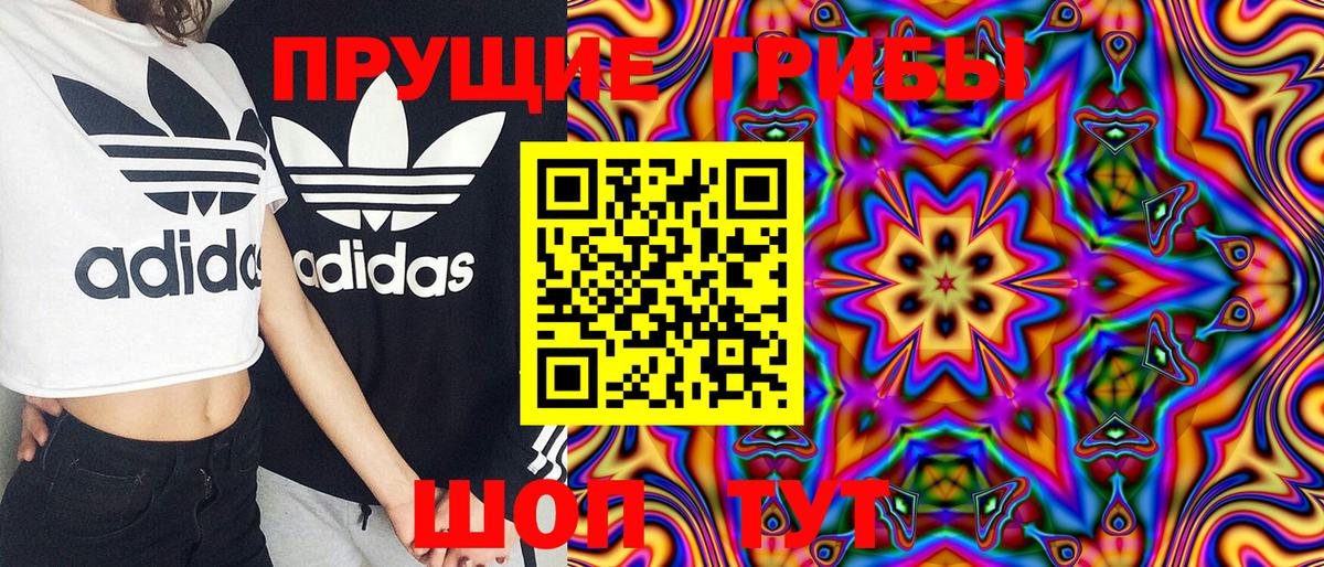 Галлюциногенные грибы Cubensis  хочу   Ейск  Вход с VPN 